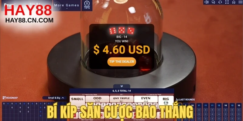 Bí kíp săn cược bao thắng