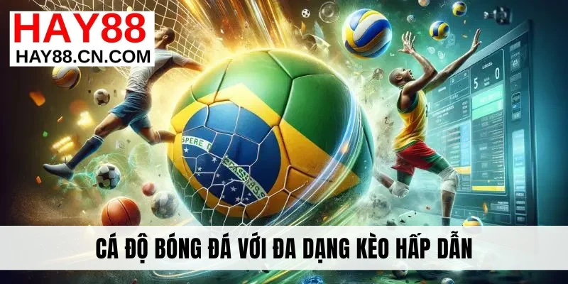 Cá độ bóng đá với đa dạng kèo hấp dẫn