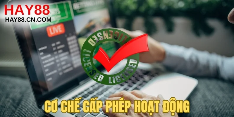 quy trình Cơ chế cấp phép hoạt động