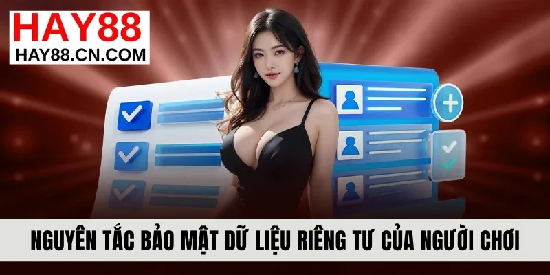 Nguyên tắc bảo mật dữ liệu riêng tư của người chơi