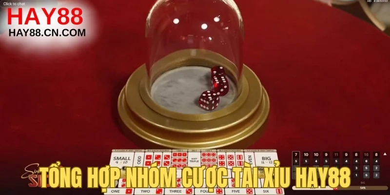 Tổng hợp nhóm cược tài xỉu Hay88