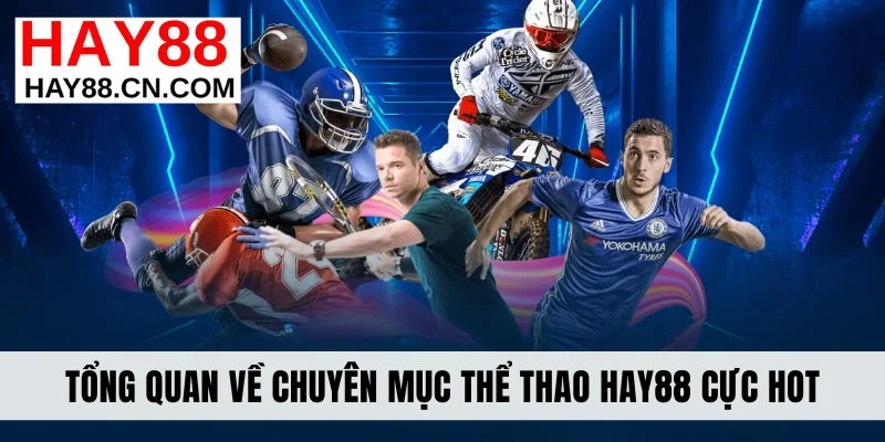 Tổng quan về chuyên mục thể thao Hay88 cực hot